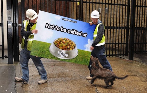 8-Wagg-Foods–Dog-Food-Scented-Ad